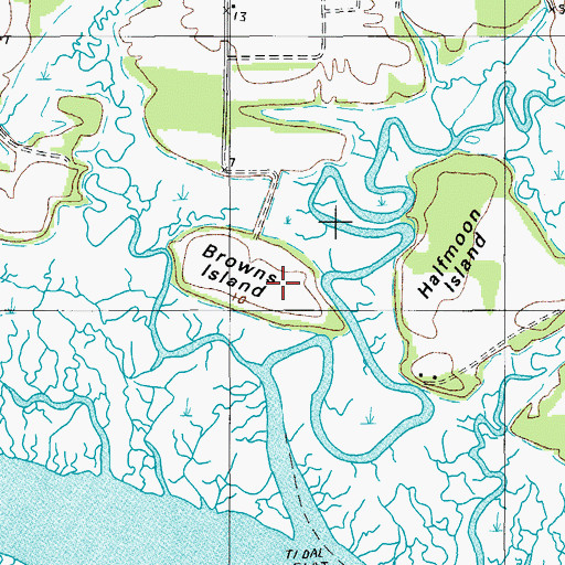 Topographic Map of Browns Island, SC