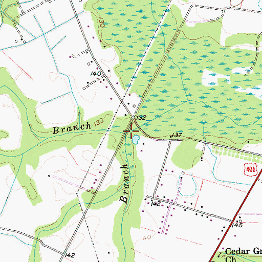Topographic Map of Brunson Branch, SC