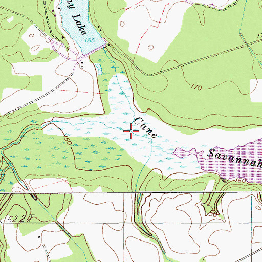 Topographic Map of Brunson Swamp, SC
