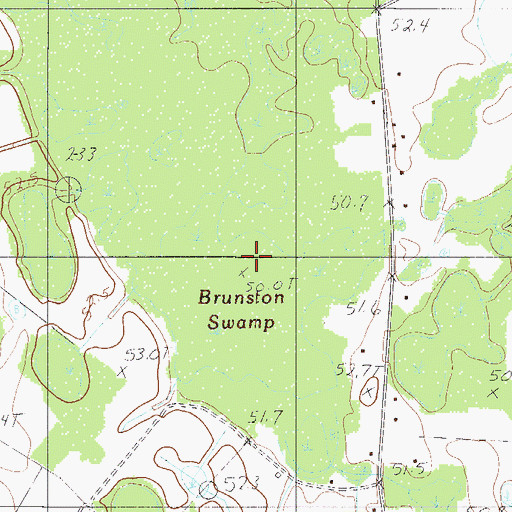 Topographic Map of Brunston Swamp, SC