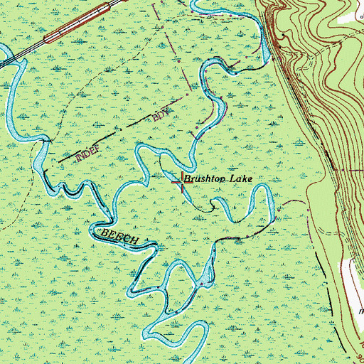 Topographic Map of Brushtop Lake, SC