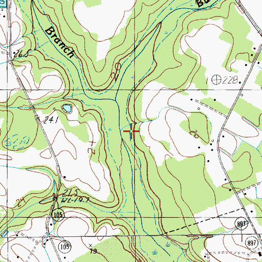 Topographic Map of Buck Branch, SC