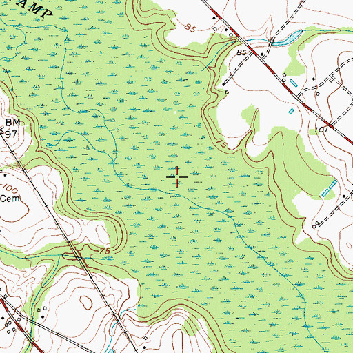 Topographic Map of Buck Swamp, SC