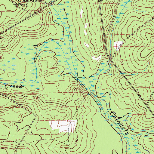 Topographic Map of Buffalo Creek, SC
