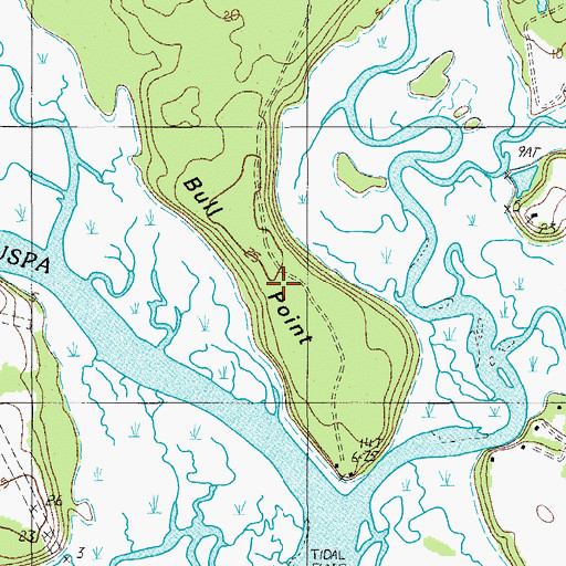 Topographic Map of Bull Point, SC