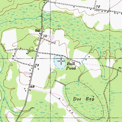 Topographic Map of Bull Pond, SC