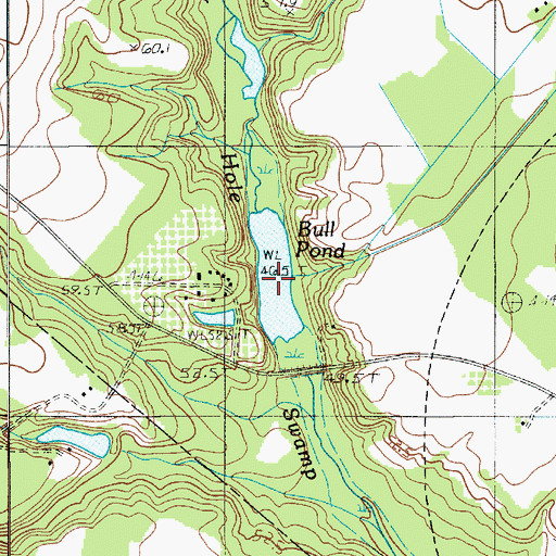 Topographic Map of Bull Pond, SC