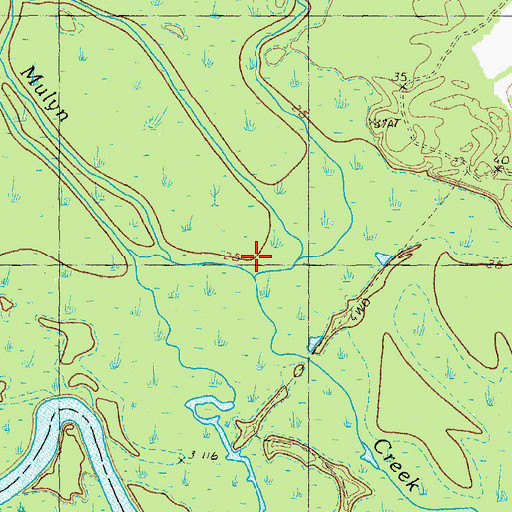 Topographic Map of Bull Swamp, SC