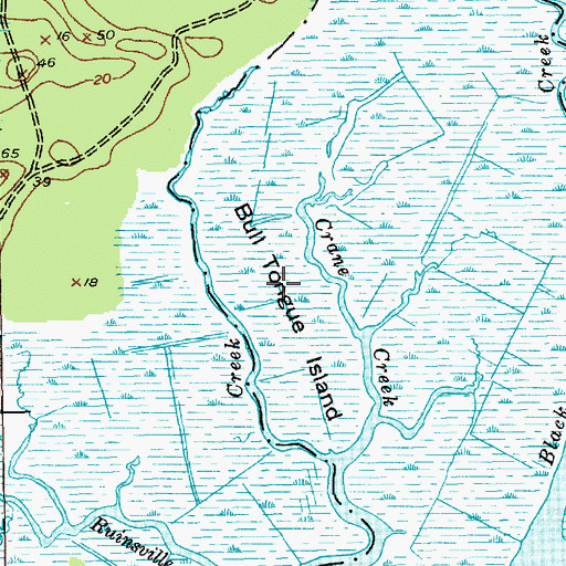 Topographic Map of Bull Tongue Island, SC