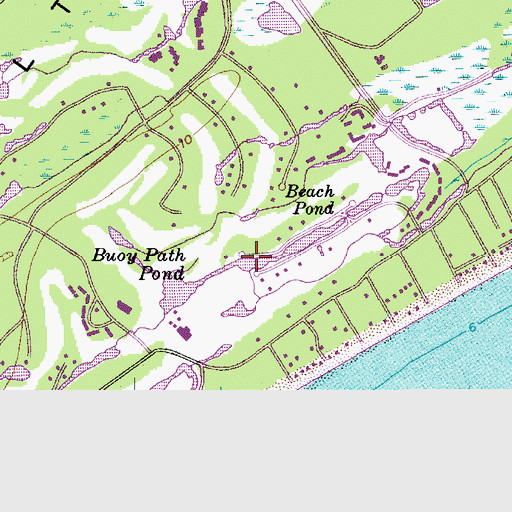 Topographic Map of Buoy Path Pond, SC