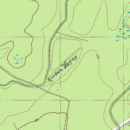 Topographic Map of Burden Swamp, SC