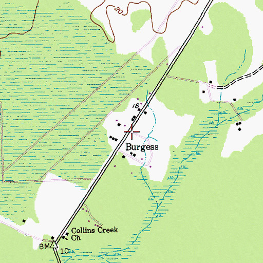 Topographic Map of Burgess, SC