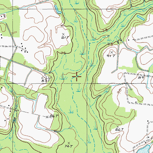 Topographic Map of Burnt Branch, SC