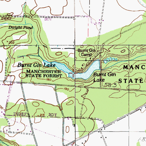 Topographic Map of Burnt Gin Lake, SC