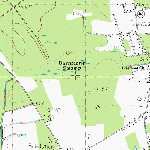 Topographic Map of Burntcane Swamp, SC