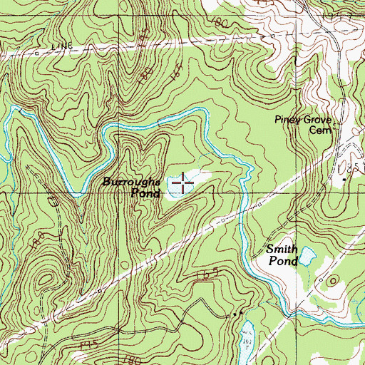 Topographic Map of Burroughs Pond, SC
