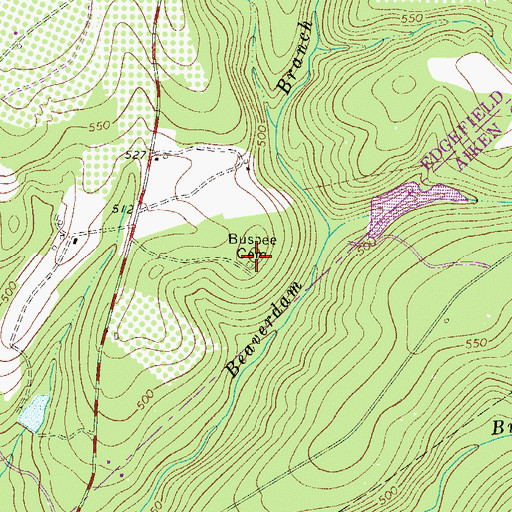 Topographic Map of Busbee Cemetery, SC