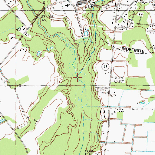 Topographic Map of Bushy Branch, SC