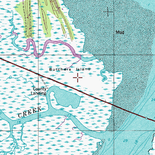 Topographic Map of Butchers Island, SC