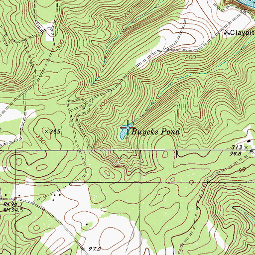 Topographic Map of Buycks Pond, SC