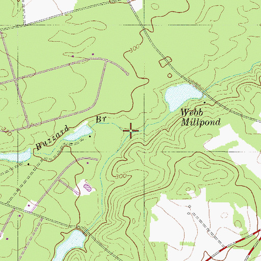 Topographic Map of Buzzard Branch, SC