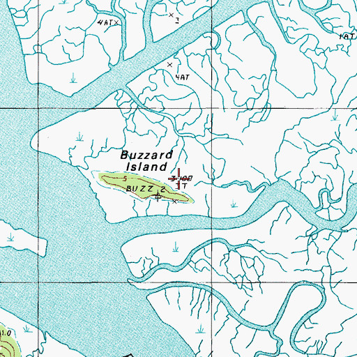 Topographic Map of Buzzard Island, SC