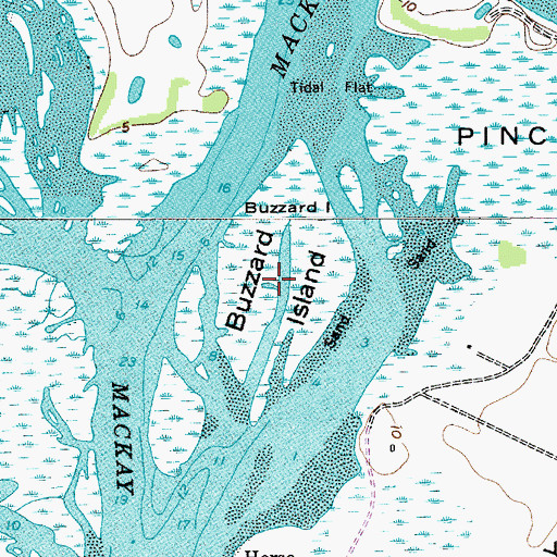 Topographic Map of Buzzard Island, SC