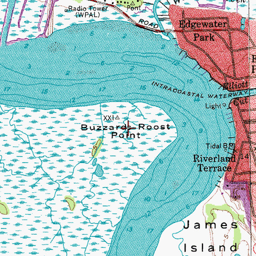 Topographic Map of Buzzards Roost Point, SC