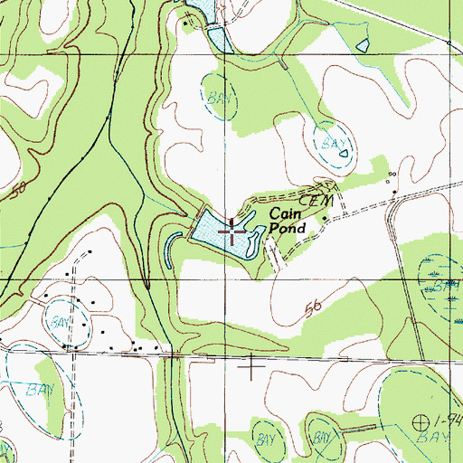 Topographic Map of Cain Pond, SC