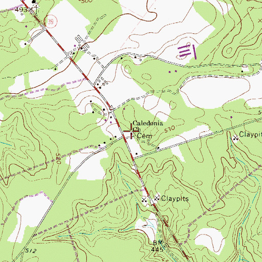 Topographic Map of Caledonia Church, SC