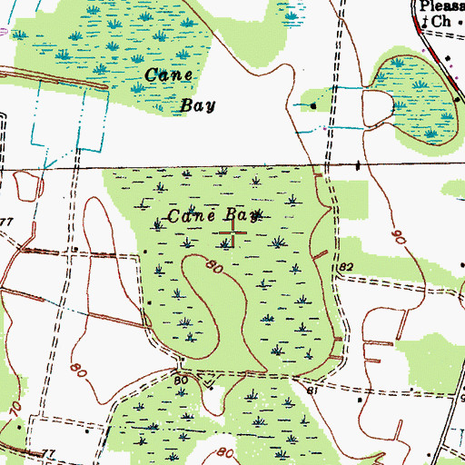 Topographic Map of Cane Bay, SC