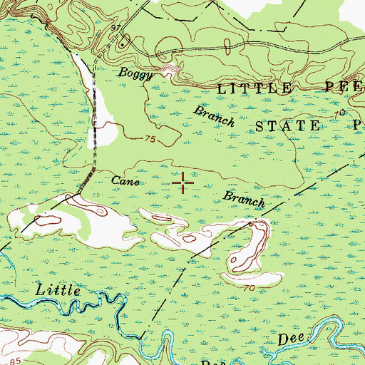 Topographic Map of Cane Branch, SC