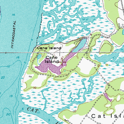 Topographic Map of Cane Island, SC