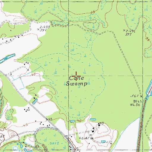 Topographic Map of Cane Swamp, SC