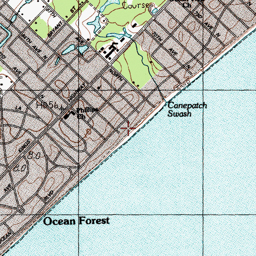 Topographic Map of Canepatch Swash, SC