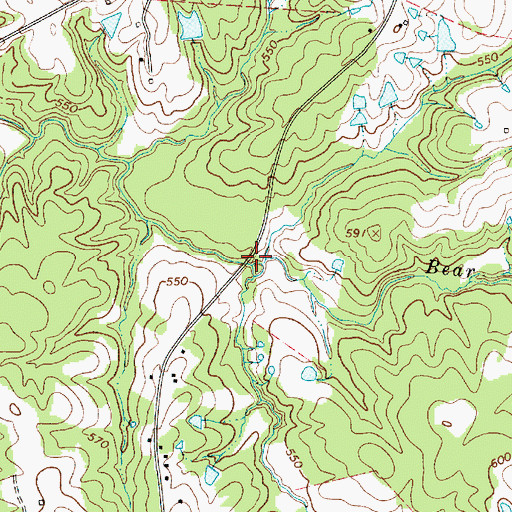 Topographic Map of Caney Branch, SC