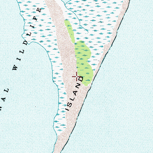 Topographic Map of Cape Island, SC