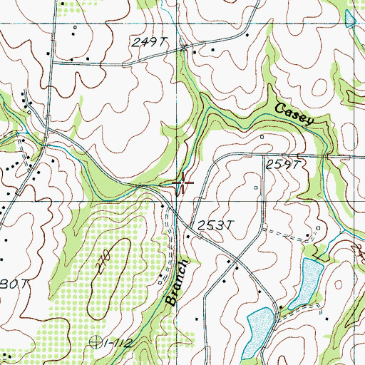Topographic Map of Carlisle Branch, SC
