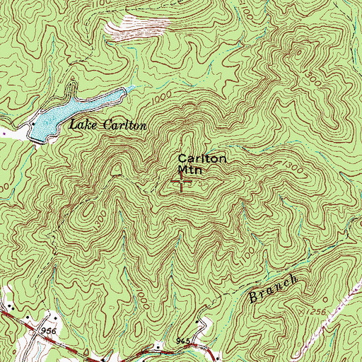 Topographic Map of Carlton Mountain, SC