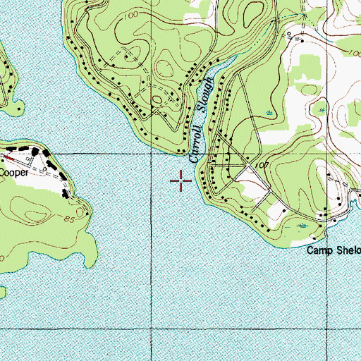Topographic Map of Carroll Slough, SC