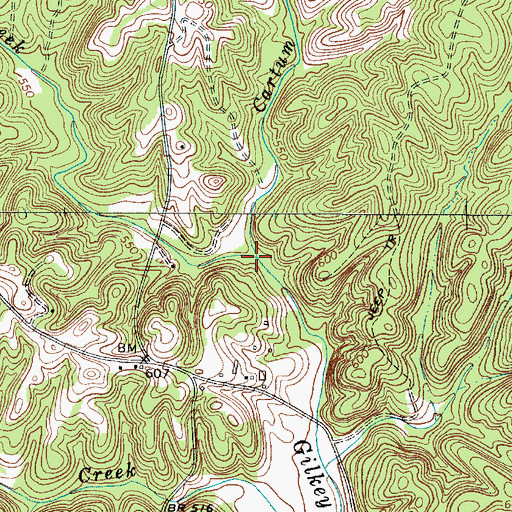 Topographic Map of Cartum Branch, SC