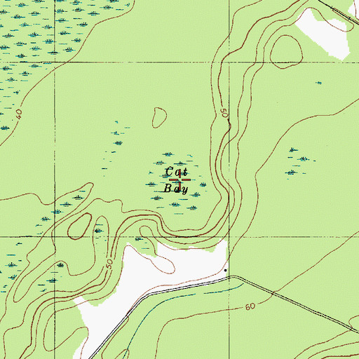Topographic Map of Cat Bay, SC