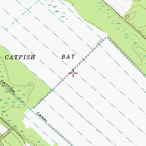 Topographic Map of Catfish Bay, SC