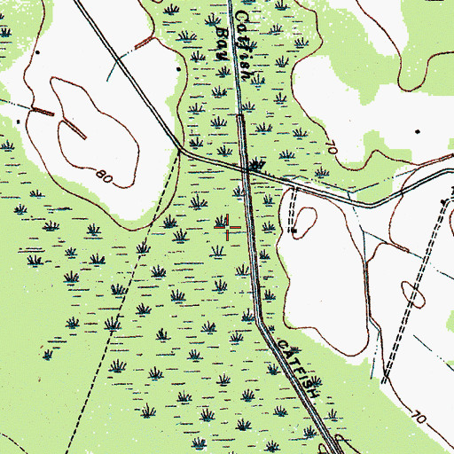 Topographic Map of Catfish Bay, SC
