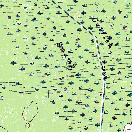 Topographic Map of Catfish Swamp, SC