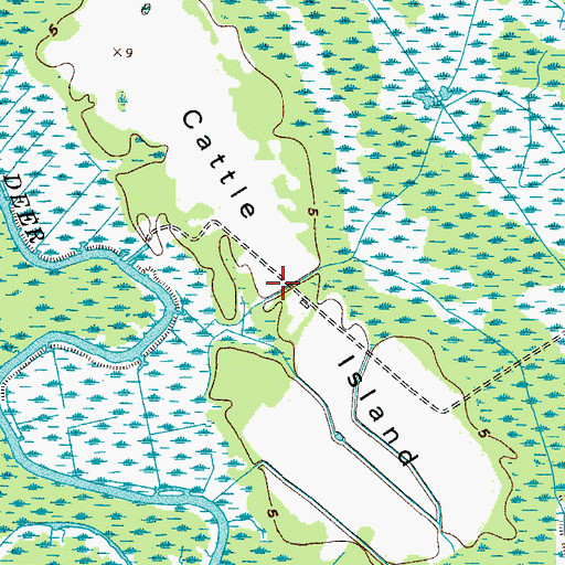 Topographic Map of Cattle Island, SC