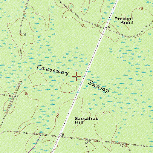 Topographic Map of Causeway Swamp, SC