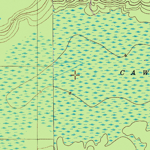 Topographic Map of Caw Caw Swamp, SC