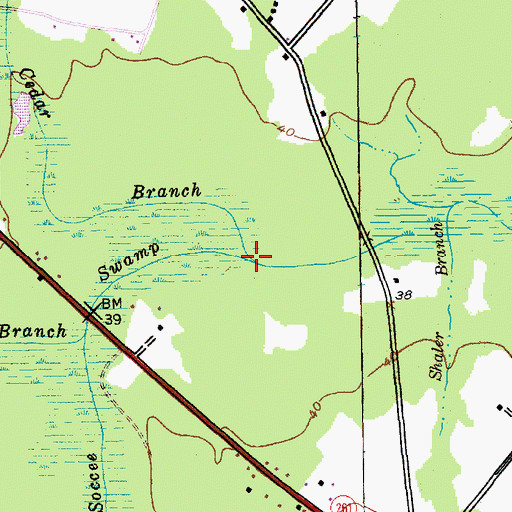 Topographic Map of Cedar Branch, SC