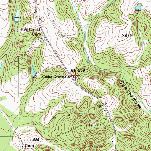 Topographic Map of Cedar Grove Church, SC